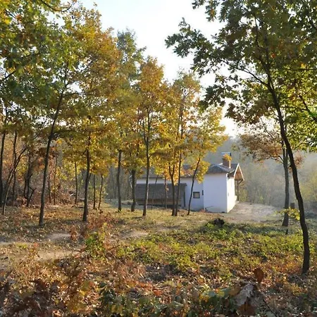 Borina Koliba Bora's Country house *