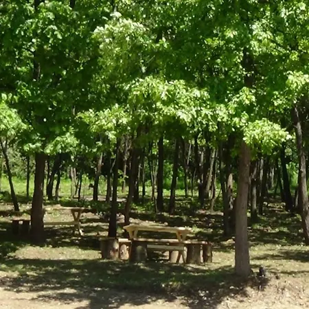Borina Koliba Bora's * Razanj