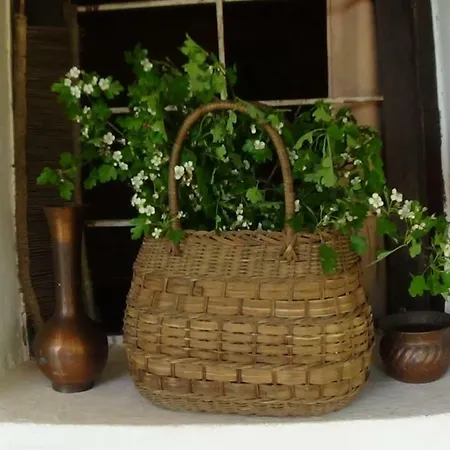 Borina Koliba Bora's Country house